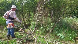 10 tondeuses à gazon les plus puissantes