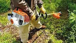 Top 10 des tondeuses Stihl