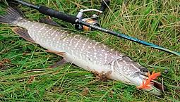 10 meilleures cannes à lancer pour le brochet
