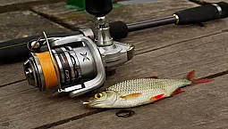 10 meilleures cannes spinning pour micro jig