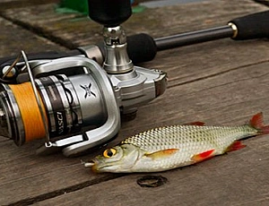 10 meilleures cannes spinning pour micro jig