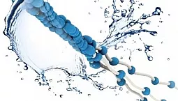 Top 10 des produits de collagène marin