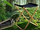 Les 5 meilleures chaises de pêche sur AliExpress