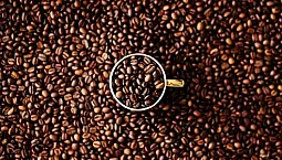 6 meilleures machines à café Krups