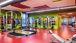 20 meilleurs équipements de gym professionnels