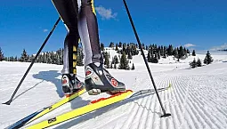 10 meilleurs skis pour le skating