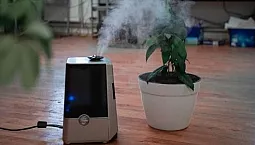 10 meilleurs humidificateurs économiques de moins de 5000 roubles