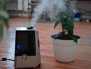 10 meilleurs humidificateurs économiques de moins de 5000 roubles