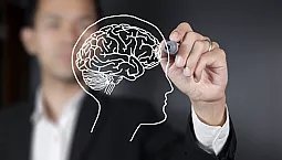 15 meilleurs médicaments pour améliorer la mémoire et l'attention