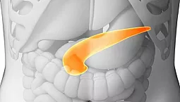 Top 10 des médicaments contre le pancréas