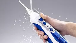 Top 10 des fabricants d'irrigateurs