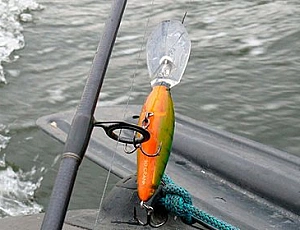 10 meilleurs wobblers pour la pêche à la traîne