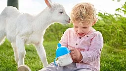 5 meilleures formules de lait de chèvre