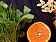 10 meilleurs complexes de vitamines et de minéraux pour hommes