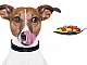 5 meilleures pilules anti-tiques pour chiens