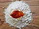 10 meilleures poudres de punaises de lit