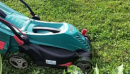 Les 8 meilleures tondeuses à gazon Bosch