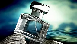 10 meilleurs parfums pour hommes pour l'été