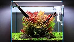20 meilleurs produits d'aquarium d'Aliexpress