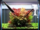 20 meilleurs produits d'aquarium d'Aliexpress