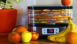 5 meilleurs séchoirs pour fruits et légumes en termes de prix et de qualité