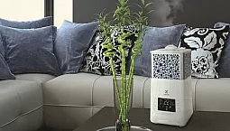 Meilleur humidificateur économique pour un appartement - Xiaomi, Ballu ou Electrolux ?
