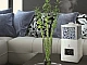 Meilleur humidificateur économique pour un appartement - Xiaomi, Ballu ou Electrolux ?