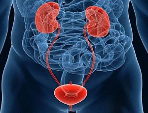 5 meilleurs analogues de Nitroxoline
