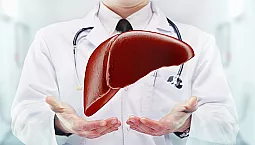 12 meilleurs hépatoprotecteurs pour la récupération du foie