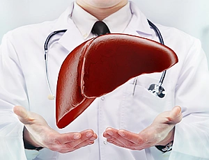 12 meilleurs hépatoprotecteurs pour la récupération du foie
