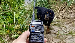 10 meilleures radios économiques pour la chasse et la pêche