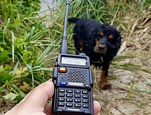 10 meilleures radios économiques pour la chasse et la pêche