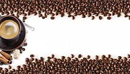 10 meilleurs grains de café pour une machine à café