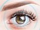 5 meilleures lentilles de contact pour les yeux sensibles