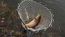 10 meilleures épuisettes pour la pêche