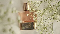 10 meilleurs parfums poudrés pour femmes