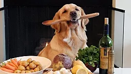 Top 10 des fabricants russes d'aliments pour chiens