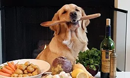 Top 10 des fabricants russes d'aliments pour chiens