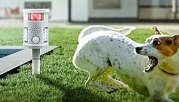 20 meilleurs répulsifs pour chiens d'Aliexpress