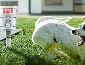 20 meilleurs répulsifs pour chiens d'Aliexpress